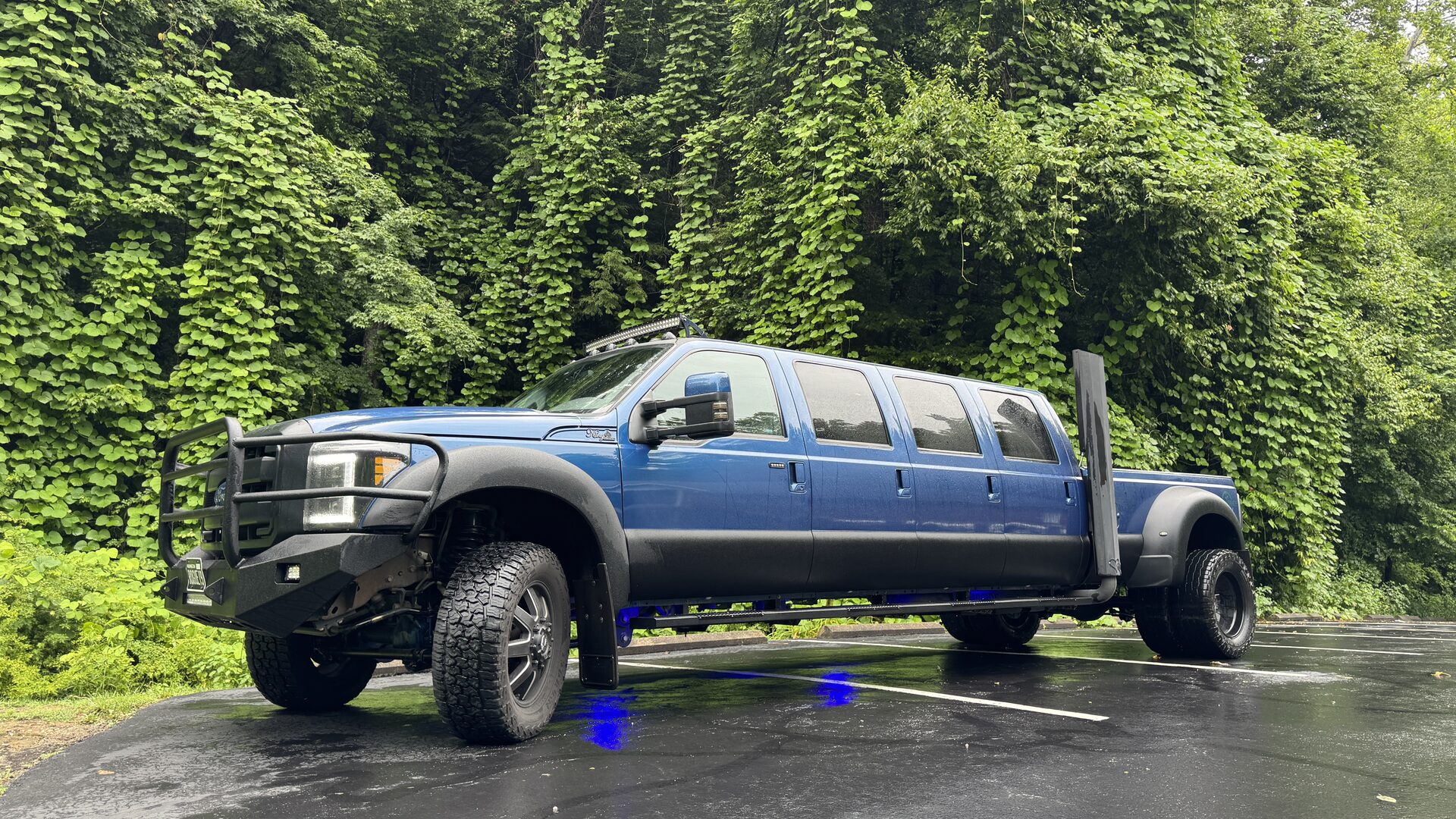 BlueFire truck near vines